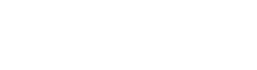 DPM